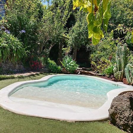 Los Matos, Canarian House In Valleseco Экстерьер фото