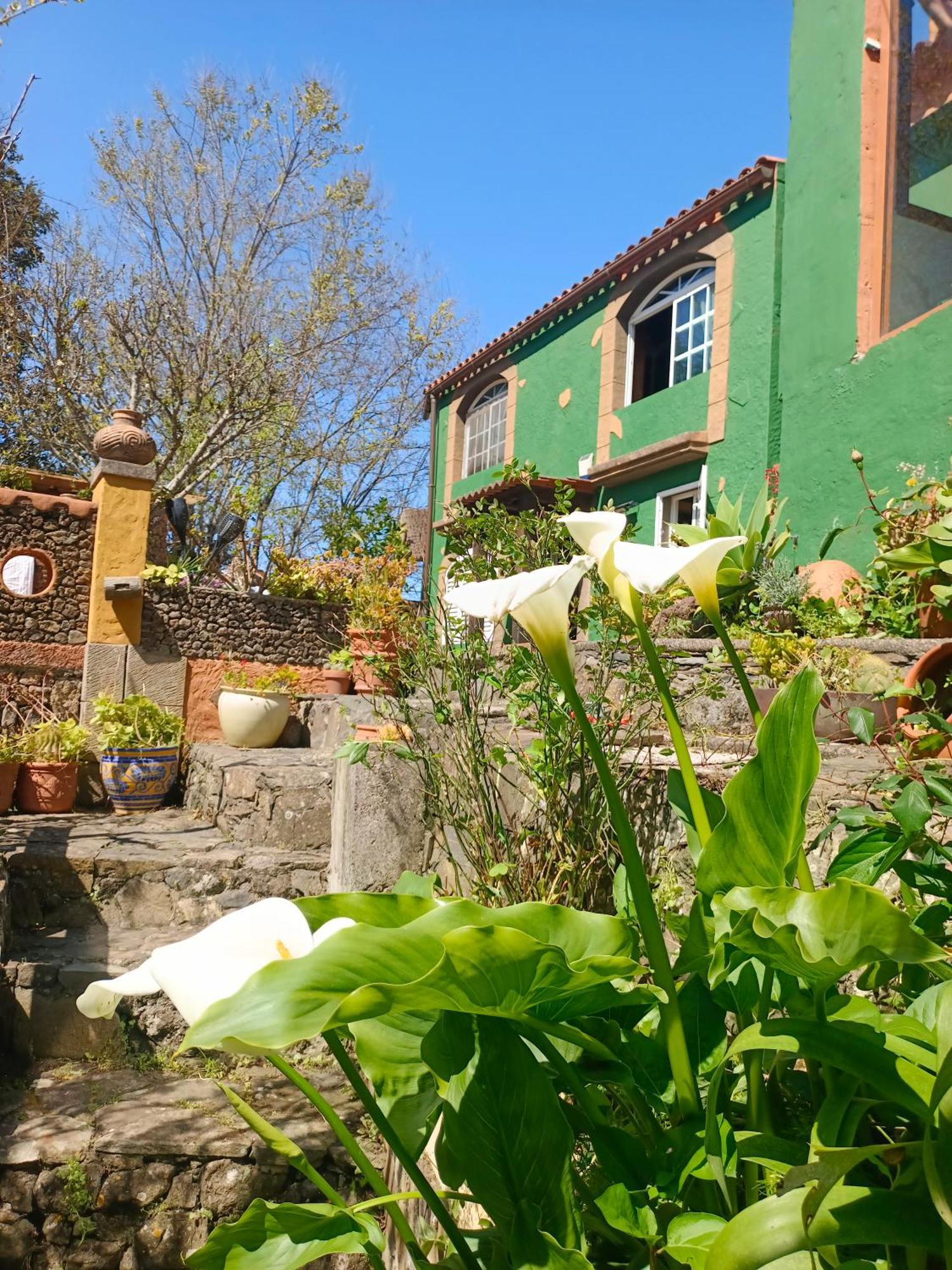 Los Matos, Canarian House In Valleseco Экстерьер фото
