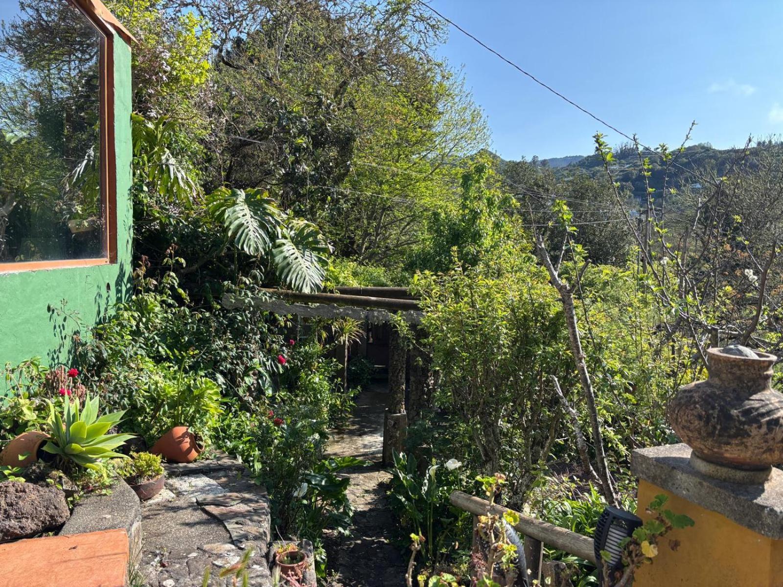 Los Matos, Canarian House In Valleseco Экстерьер фото